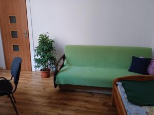 a green couch in a living room with a plant at Cruz Mieszkanie Pokoje Centrum przytulny czysty lokal na noc in Łódź +14 photos