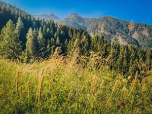 Naturlandschaft in der Nähe des Chalets