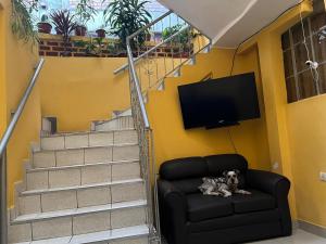 a dog laying on a couch in front of a tv at Hospedaje El Centro in Ayacucho