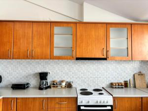Кухня или мини-кухня в Aurora Family Loft
