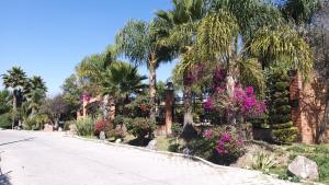 En have udenfor Campamento Hermoso Natural en Puebla + 24 billeder