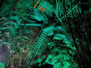 NaranjoにあるCasa del Arbol Feel Goodのヤシの木が生い茂るジャングルの中の緑のはしご