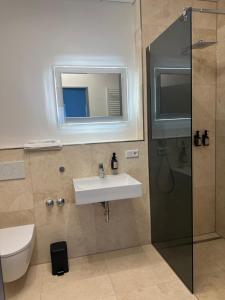 ein Badezimmer mit Waschbecken und Dusche in der Unterkunft Akropolis Hotel in Nürnberg