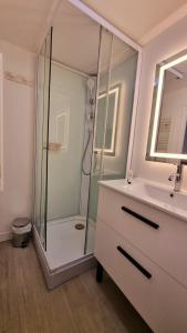 a bathroom with a shower and a sink at Studio Centre Historique in Vannes +12 photos
