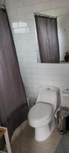 a bathroom with a white toilet and a shower at Hermosa casa parcela puerto varas in Puerto Varas