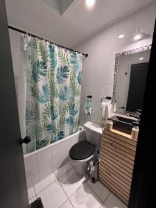 a bathroom with a toilet and a sink and a mirror at Hotel Minga in Copiapó +30 photos