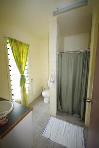 un bagno con doccia e WC di Samoan Highland Hideaway a Siusega Altre 23 foto