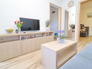 a living room with a flat screen tv on a cabinet at Seaside Apartments Hrka - Standard One Bedroom Apartment with Terrace and Sea View 2 in Orebić +19 photos