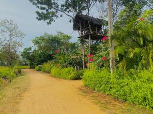 Giardino di Lucky Villa Sigiriya