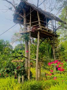 Giardino di Lucky Villa Sigiriya