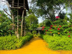 Giardino di Lucky Villa Sigiriya