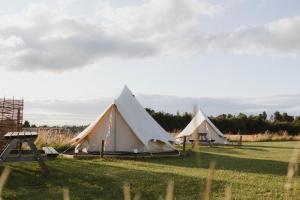 un par de tiendas sentadas en un campo en Doxford Farm Camping, en Alnwick