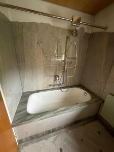 a bath tub with a shower in a bathroom at A&D Monteurzimmer Ferienwohnung in Bad Mergentheim