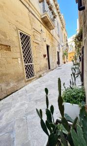 een cactus in een pot op straat naast een gebouw bij Casa Ginevra, private Parking in Lecce