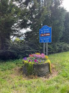 a sign for a yard with flowers in a tire at Ty Sycamore in Talybont +28 photos