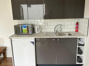 a kitchen counter with a sink and a microwave at Ty Sycamore in Talybont