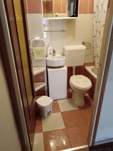 a small bathroom with a toilet and a sink at Apartman Lara in Brodarica
