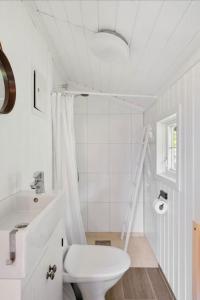 VikesåにあるStavtjørn Alpine lake havenの洗面台とトイレを備えた白いバスルーム