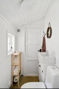 VikesåにあるStavtjørn Alpine lake havenのトイレと洗面台を備えた白いバスルーム