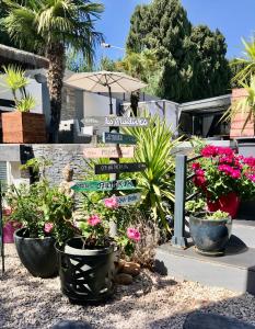a street sign with some plants and flowers at suite détente in Maussane-les-Alpilles +24 photos