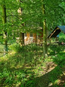 a house in the middle of a yard with trees at The Shack in the Woods- Off Grid in Redditch +10 photos