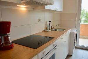 una cucina con un lavello e un piano di lavoro di Großzügige Monteurwohnung mit TOP Anbindung a Bensheim Altre 2 foto