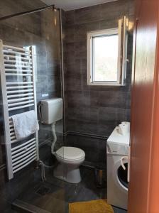 Ένα μπάνιο στο Apartman Petrovic
