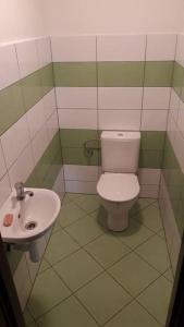 a bathroom with a toilet and a sink at Chalupa pro 2 rodiny in Kněževes +16 photos