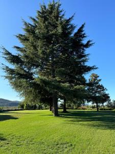 Φωτογραφία από το άλμπουμ του Tenuta Il Poggio Teano σε Teano