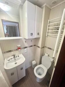 a small bathroom with a toilet and a sink at Комфорт in Polyana