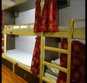 Palanda nebo palandy na pokoji v ubytování Sunrise juhu hostel