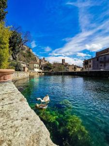 un par de personas nadando en un río en Agriturismo Podere Asche, en Santa Fiora