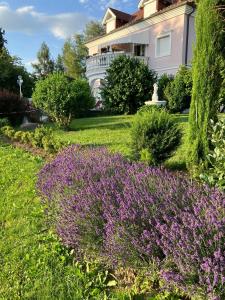 Gallery image of Villa Rose in Sankt Kanzian +51 photos