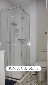 un bagno con doccia in vetro e WC di Apartamentos en la Plaza Doña Elvira, 7 a Siviglia