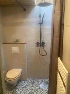 Un pequeño baño con inodoro y ducha. en Het Zalige Buitenleven, en Lanaken 28 fotos más