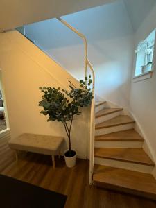 Fotografie z fotogalerie ubytování Casa de Rainer Copenhagen Room 3 v Kodani
