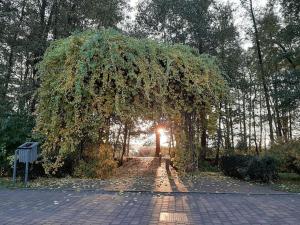 Φωτογραφία από το άλμπουμ του Lake View House WiFi Free Parking σε Morzyczyn
