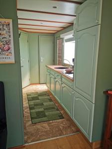 een keuken met groene kasten en een spoelbak bij Bed and Breakfast Op het Broek in Harfsen