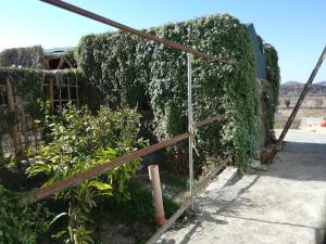 Fotografie z fotogalerie ubytování Yonis Farm v destinaci Kharmāʼ