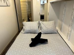 Gallery image of Rivieira - 3' des thermes - T1 in Évian-les-Bains