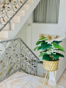 Fotografie z fotogalerie ubytování Hotel Bolognesi Tumbes v destinaci Tumbes