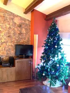 Μια τηλεόραση ή/και κέντρο ψυχαγωγίας στο Les Golfes de Can Mascarbo, mimar-te en un confortable espai +49 φωτογραφίες