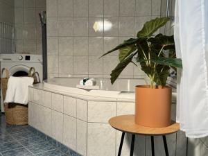 Koupelna v ubytování City Apartments Bludenz + 40 fotografií