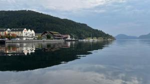 a large body of water with houses and trees at Sea side stay in Sand in Åsen
