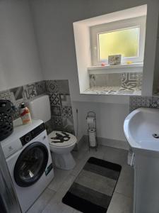 a bathroom with a washer and a toilet and a sink at Kali in Kukuljanovo +8 photos
