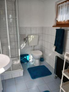 ein Badezimmer mit Toilette, Dusche und Waschbecken in der Unterkunft Seeidyll in Heidesee