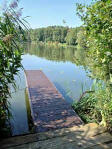 ein Holzsteg mitten in einem See in der Unterkunft Seeidyll in Heidesee
