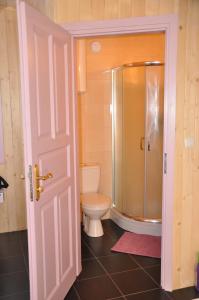 a bathroom with a toilet and a shower at Lawendowa Wyspa Klub Nadmorski in Ostrowo