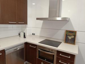 A kitchen or kitchenette at Apartamentos Palacio de los Jerónimos