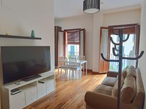 A television and/or entertainment centre at Apartamentos Palacio de los Jerónimos
